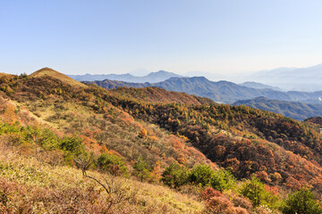 10月の野辺山高原ハイキング・山梨、日本