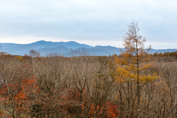 Fototapeta premium 日本の百名山・10月の八ヶ岳・山梨