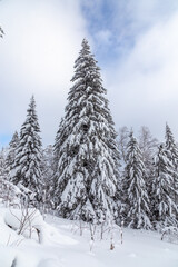 Winter landscape. Zyuratkul national Park, Chelyabinsk region, South Ural, Russia