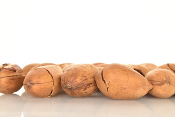 Several ripe unpeeled pecans, close-up, isolated on white.
