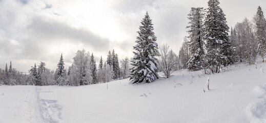 Obraz premium Winter landscape. Zyuratkul national Park, Chelyabinsk region, South Ural, Russia