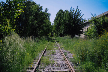 Obraz premium railway in the countryside