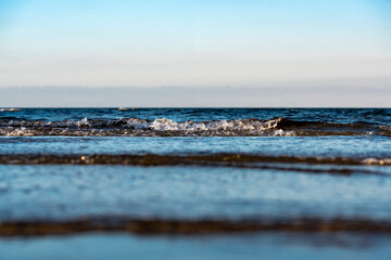 Horizontale Nahaufnahmen einer Welle am Abend.