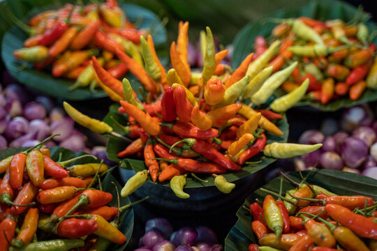 Most famous colorful chili pepper in Indonesia
