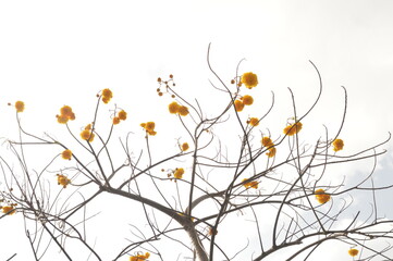 Sunset over thebeaches and islands of Southern Myanmar / Burma in Southeast asia