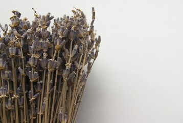 fragment of a dry lavender bouquet
