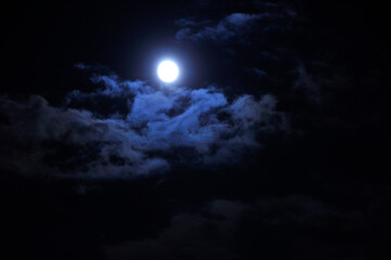 Obraz premium 仲秋の名月