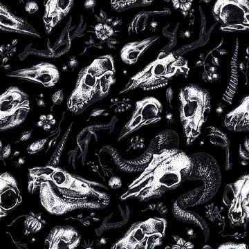 Vector black and white graphic hand drawn pattern with different animal skulls isolated on the black background. Seamless pattern can be used for wallpaper, web page background, surface texture