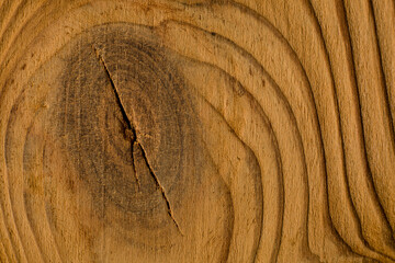 Close-up wood background. Light wood texture background, detail. Beautiful wood grain design....