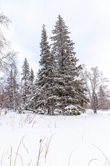 Winter landscape. Zyuratkul national Park, Chelyabinsk region, South Ural, Russia.