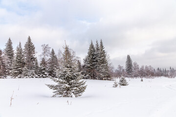 Fototapeta na wymiar Winter landscape. Zyuratkul national Park, Chelyabinsk region, South Ural, Russia.