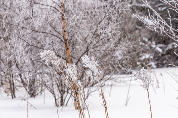 Obraz na płótnie Canvas Winter landscape. Zyuratkul national Park, Chelyabinsk region, South Ural, Russia.