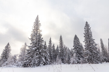 Winter landscape. Zyuratkul national Park, Chelyabinsk region, South Ural, Russia.