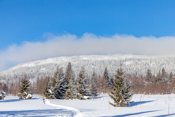 Obraz premium Winter landscape. Zyuratkul national Park, Chelyabinsk region, South Ural, Russia.