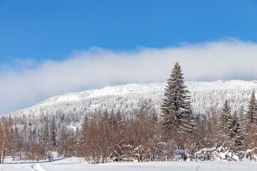Winter landscape. Zyuratkul national Park, Chelyabinsk region, South Ural, Russia.