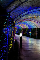 イルミネーションの玉ボケ