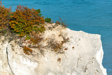 Kreidefelsen Dänemarks