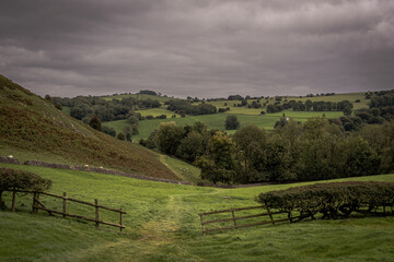 landscape in the morning