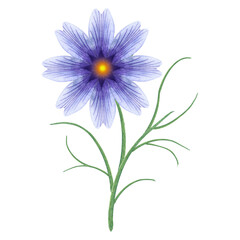 Watercolor cornflower botanical illustration. Blue petals with green stem. Hand drawn wild flower isolated on white. Single floral element for packaging, label, logo design.