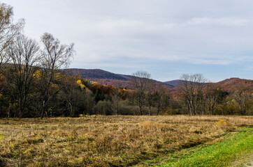 Fototapeta premium Bieszczady panorama 