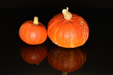 Ripe organic pumpkin, close-up, on a black background.
