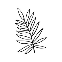 palm leaf stylized vector illustration.