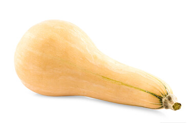 Butternut squash isolated on white background