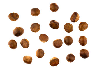 chestnut isolated on white background. Top view