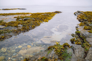 rocky coast of state
