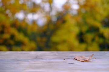 leaves, foliage on the wooden table in the garden, beautiful blurred natural landscape in the...