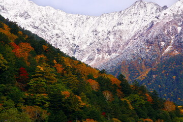 紅葉と初冠雪