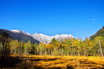 秋色の平地と雪山