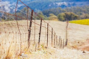 King Valley Landscape in Australia