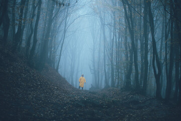 Man got lost in a spooky foggy forest among tall trees