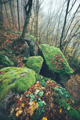 Rocks covered in moss in a spooky forest in autumn foggy day