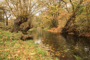 Herbstliches Unstruttal bei Nägelstedt