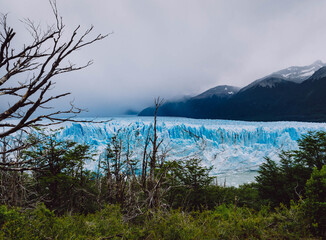Fototapeta na wymiar Perito Moreno Glacier in Patagonia, Argentina