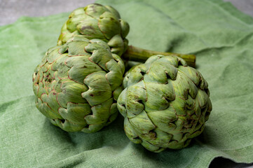 Big ripe uncooked green globe artichoks vegetables