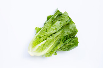Fresh romaine lettuce isolated on a white background