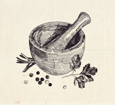 recommend clip art: Hand drawn illustration of ceramic mortar and pestle with parsley leaves and black peppercorns