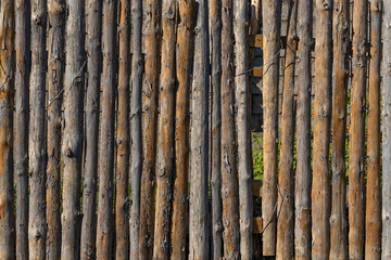 Wooden fence. Wooden trunks. A row of wooden posts. Wood texture. Wood trunk surface texture. Surface of wooden branches