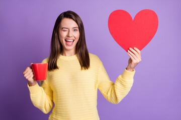 Photo portrait of winking girl holding big red cup heart card in hands isolated on bright purple colored background