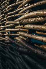 Close shot of a fence made of twigs found often in United Kingdom as a soft and natural garden fencing