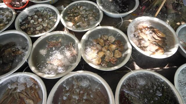 Different kinds of fresh catch alive seafoods inside the basins in open market.