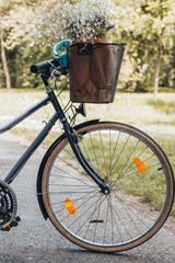 Fototapeta premium Retro bicycle with a basket in nature.