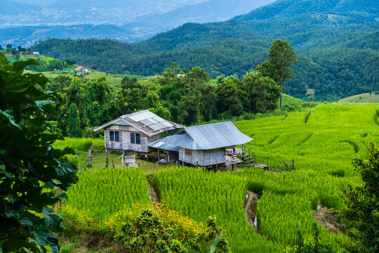 Pa​ Bong​ Piang​ Rice Terraces​ at Pa Bong Piang village in Mae Cham, Chiangmai, Thailand.