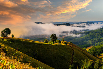 Beautiful sunset over the corn fields in  Mae Chaem, Chiang Mai, Thailand.