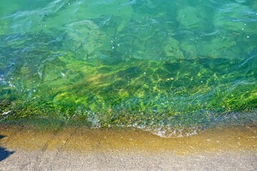 The sea that looks green on a clear day

