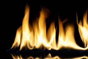 Fototapeta premium The fire. Flames are burning isolated on a black background.
