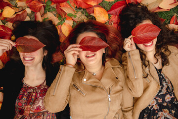 Top view portrait with three friends lying down on a fallen leaves carpet in a field during fall season. Smiling and cheerful girls covering her eyes with a red leaf. Autumn, nature concept.